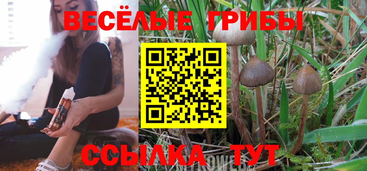 Галлюциногенные грибы мицелий Чусовой