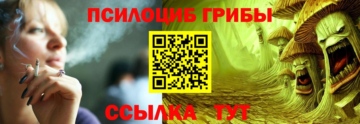 Псилоцибиновые грибы Cubensis  Галлюциногенные грибы Psilocybe  купить  сайты  Чусовой  Вход с VPN 